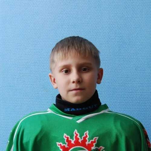Vorobev Danil Mihailovich