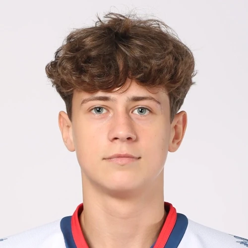 Troinov Daniil Fedorovich