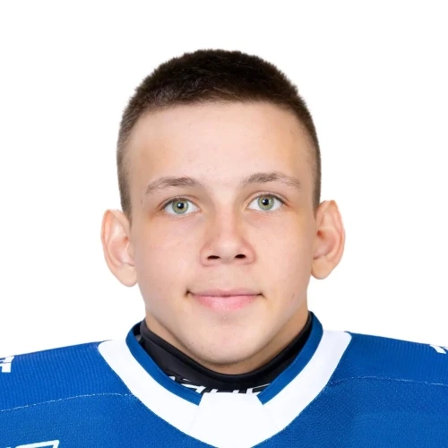 Goryunov Ilya Sergeevich