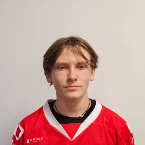 Zavyalov Artem Alekseevich