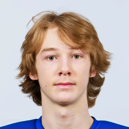 Krasnik Aleksandr Sergeevich
