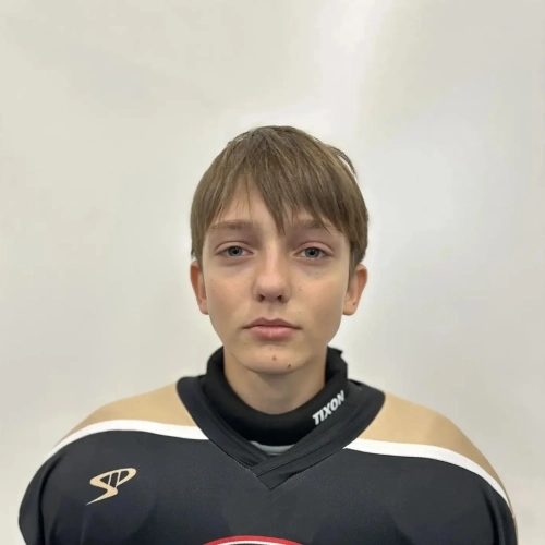 Kolesnikov Vadim Artemovich