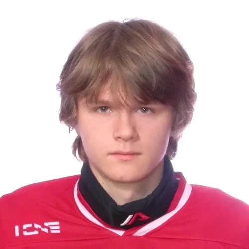 Gromov Stepan Vyacheslavovich