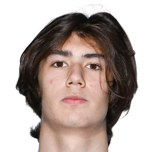 Kotelnikov Artem Sergeevich