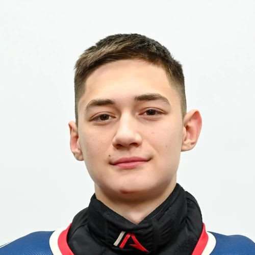 Gumerov Danis Arturovich