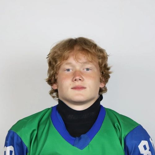 Solomatin Ivan Sergeevich