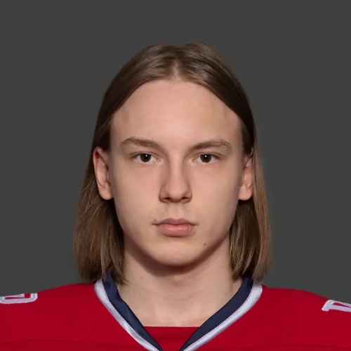 Alekseev Dmitrii Pavlovich