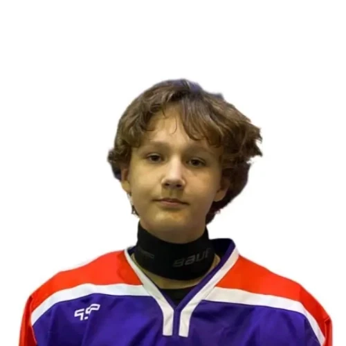 Shehanov Artem Sergeevich