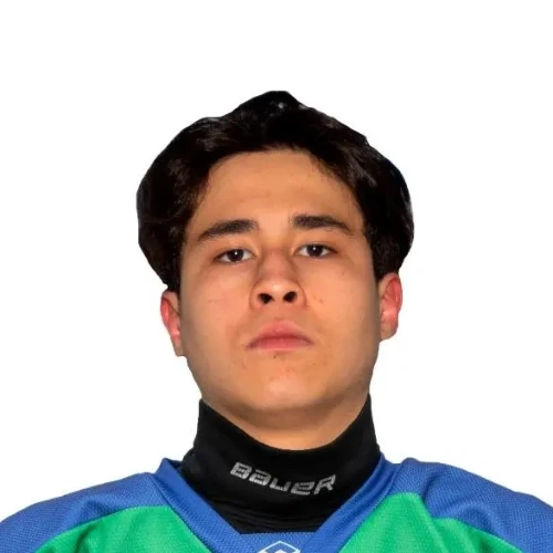 Abdullaev Mikael Rafaelevich