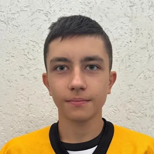 Golovkov Artem Mihailovich