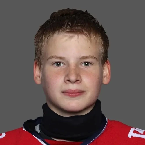 Chervonikov Sergei Viktorovich