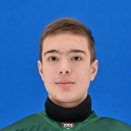 Garifullin Artur Ramilevich