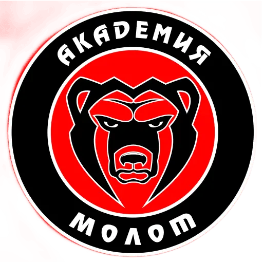 Akademiya Molot