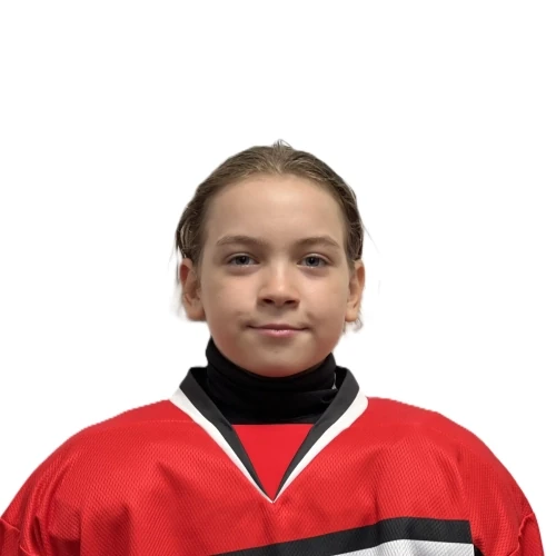Gonysheva Vasilisa Vladimirovna