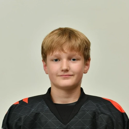 Brinenko Danil Artemovich