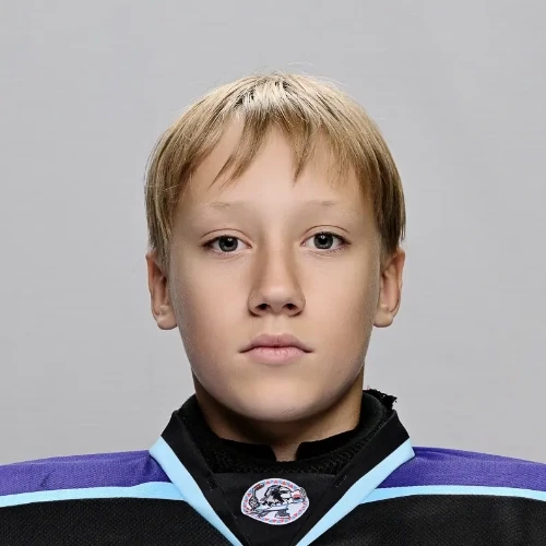Lihomanov Aleksei Nikolaevich