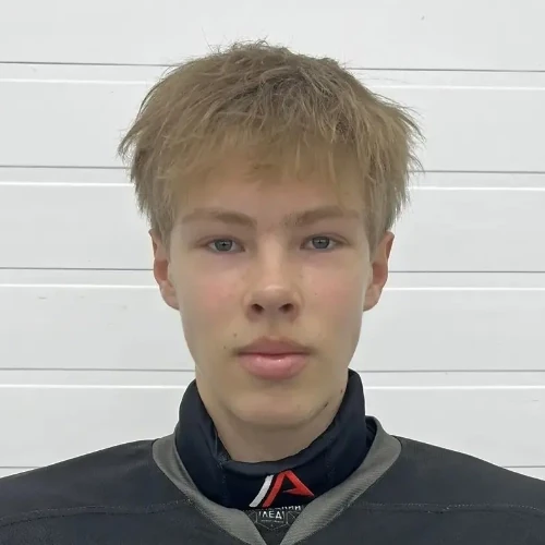 Ehlakov Artem Sergeevich