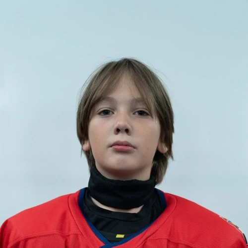 Mankov Ilya Antonovich