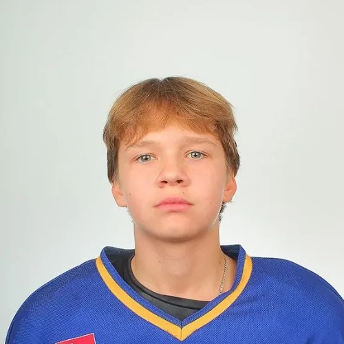 Shestakov Dmitrii Leonidovich