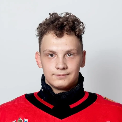Fedulov Timur Konstantinovich