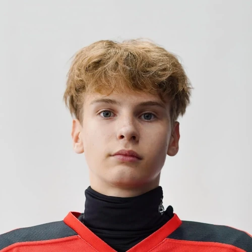 Shahnovich Artem Yurevich