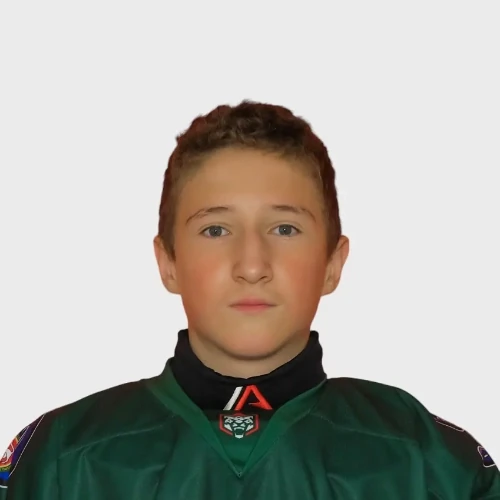 Fahrutdinov Danil Dinarovich