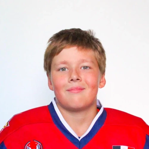 Tihonov Nikita Artemovich