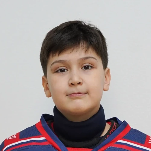 Rodikov Dmitrii Alekseevich