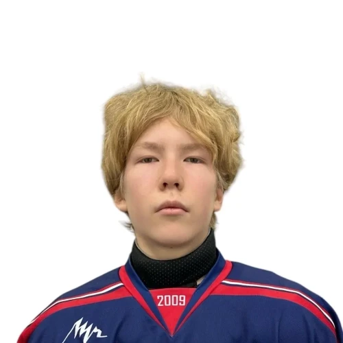 Porfirev Maksim Dmitrievich