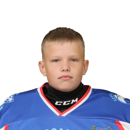 Sharikov Stepan Alekseevich