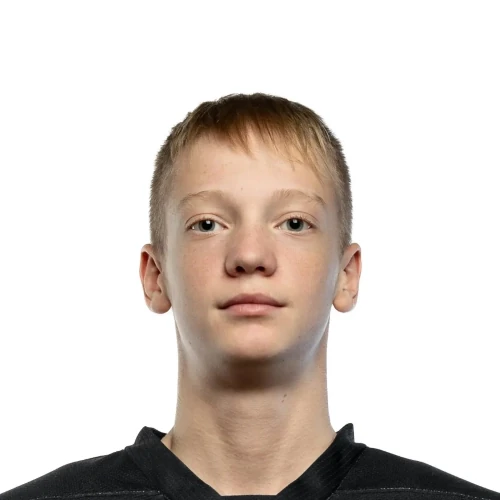Sorokin Aleksandr Evgenevich