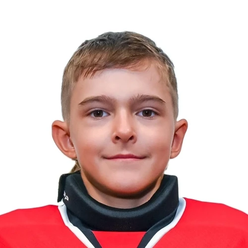 Velizhanskii Mihail Konstantinovich