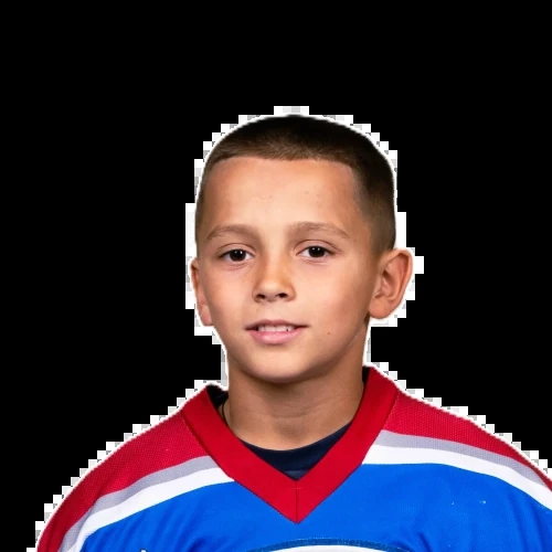 Anikin Arsenii Artemovich