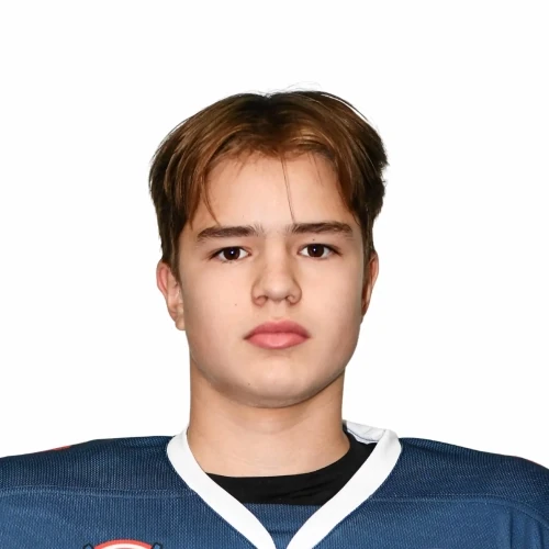 Savelev Maksim Igorevich