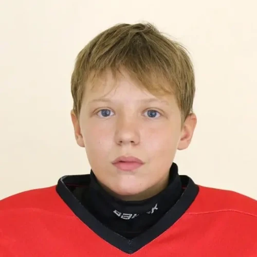 Shestakov Aleksandr Dmitrievich