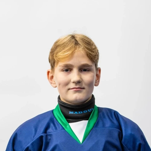 Fomintsev Denis Olegovich