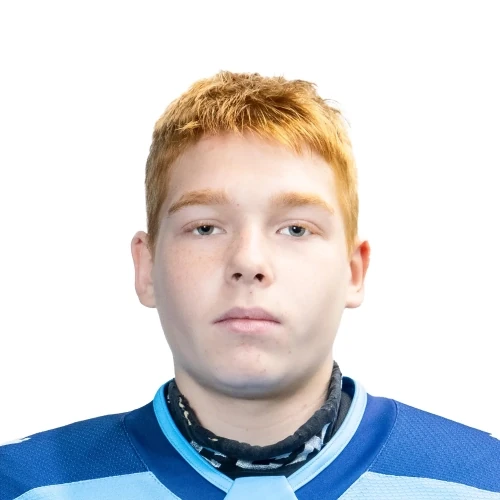 Mikov Vladislav Alekseevich
