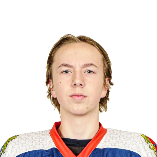 Bashkirov Daniil Vladislavovich