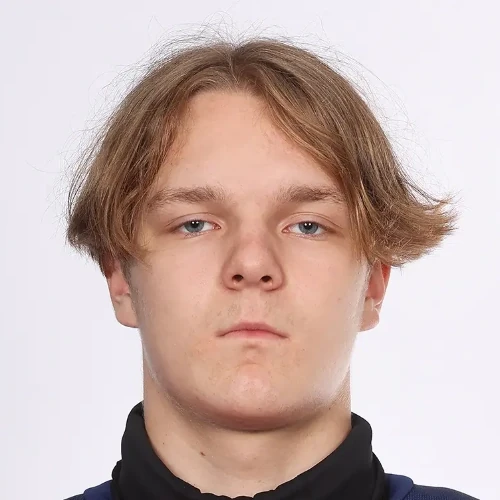Voronov Artem Denisovich