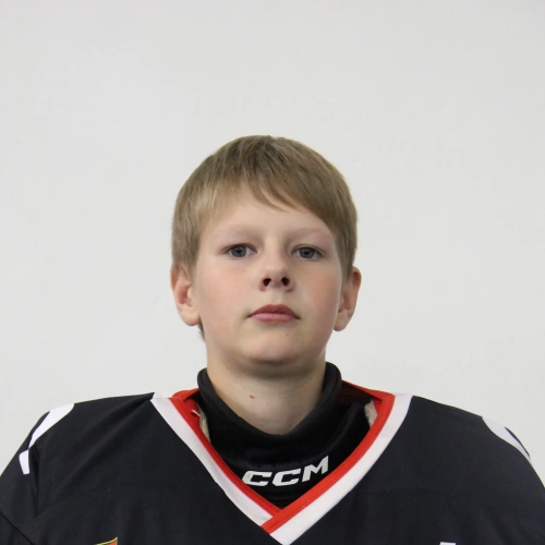 Nikiforov Andrei Vadimovich