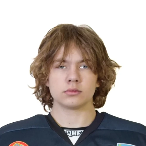 Dostov Nikita Vladimirovich