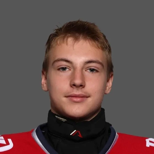 Melnichenok Nikita Sergeevich