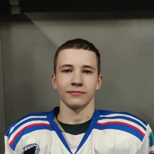 Koshelyaev Artem Stanislavovich