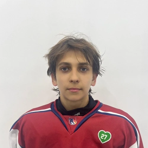 Niyazov Adil Albertovich