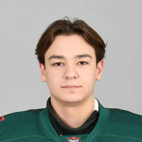 Koptelov Gleb Dmitrievich