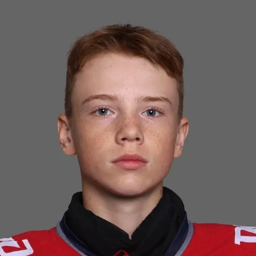 Piskunov Artem Dmitrievich