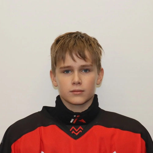 Tyumentsev Danil Vladimirovich