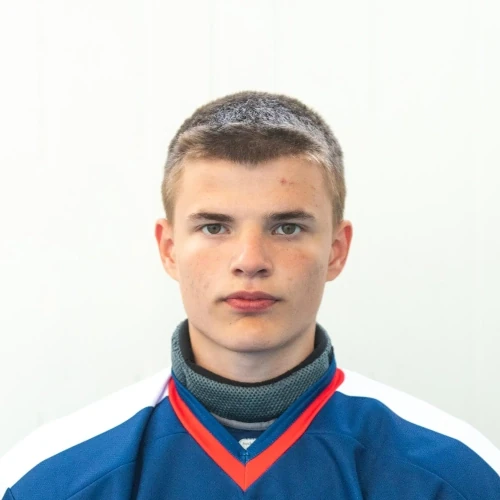 Тимин Родион Игоревич