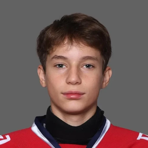 Лебедев Максим