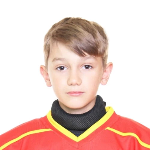 Shipov Nikita Artemovich